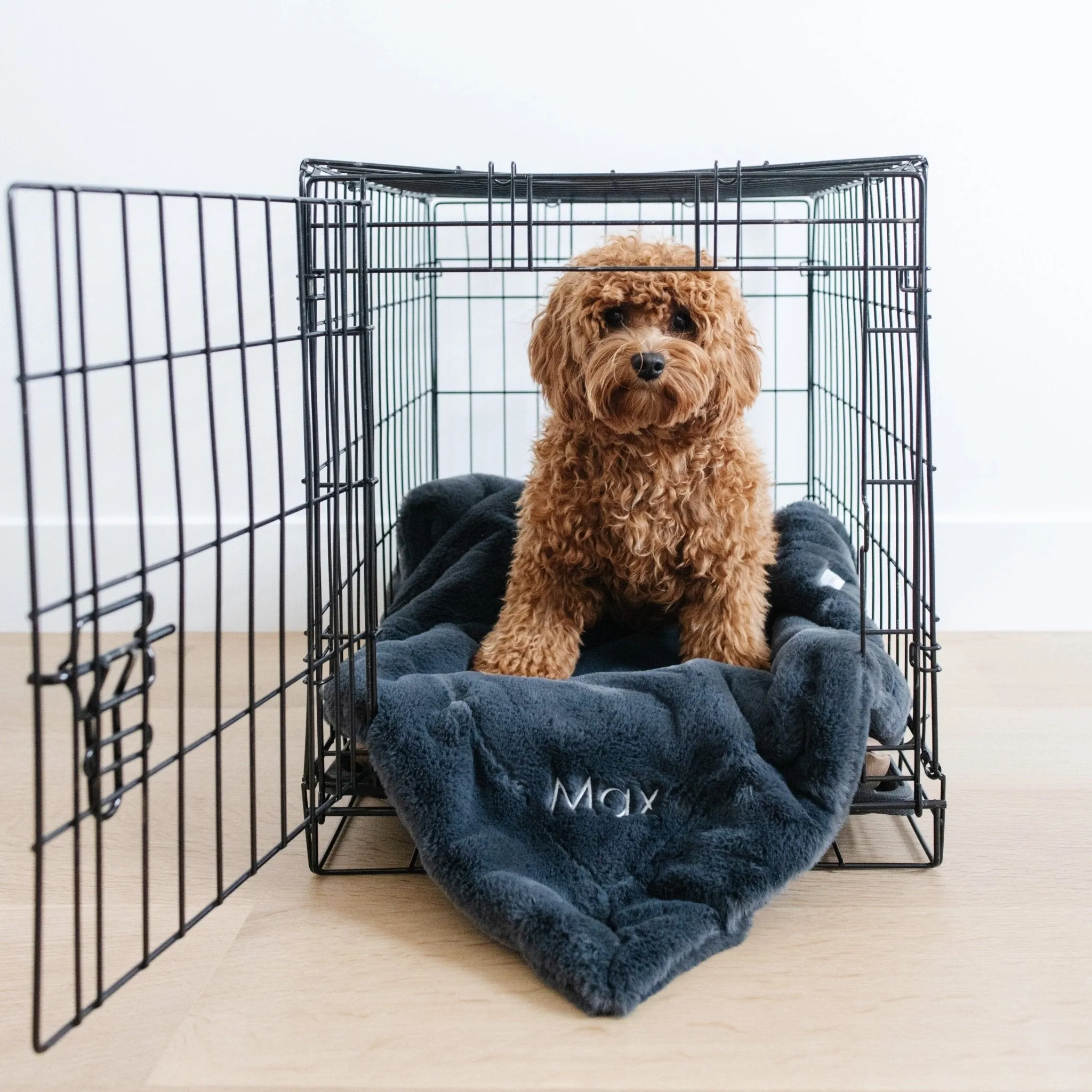 PET BLANKET