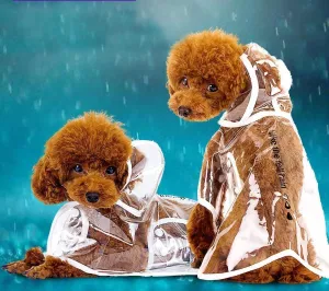 Pet Colorful Transparent Raincoat