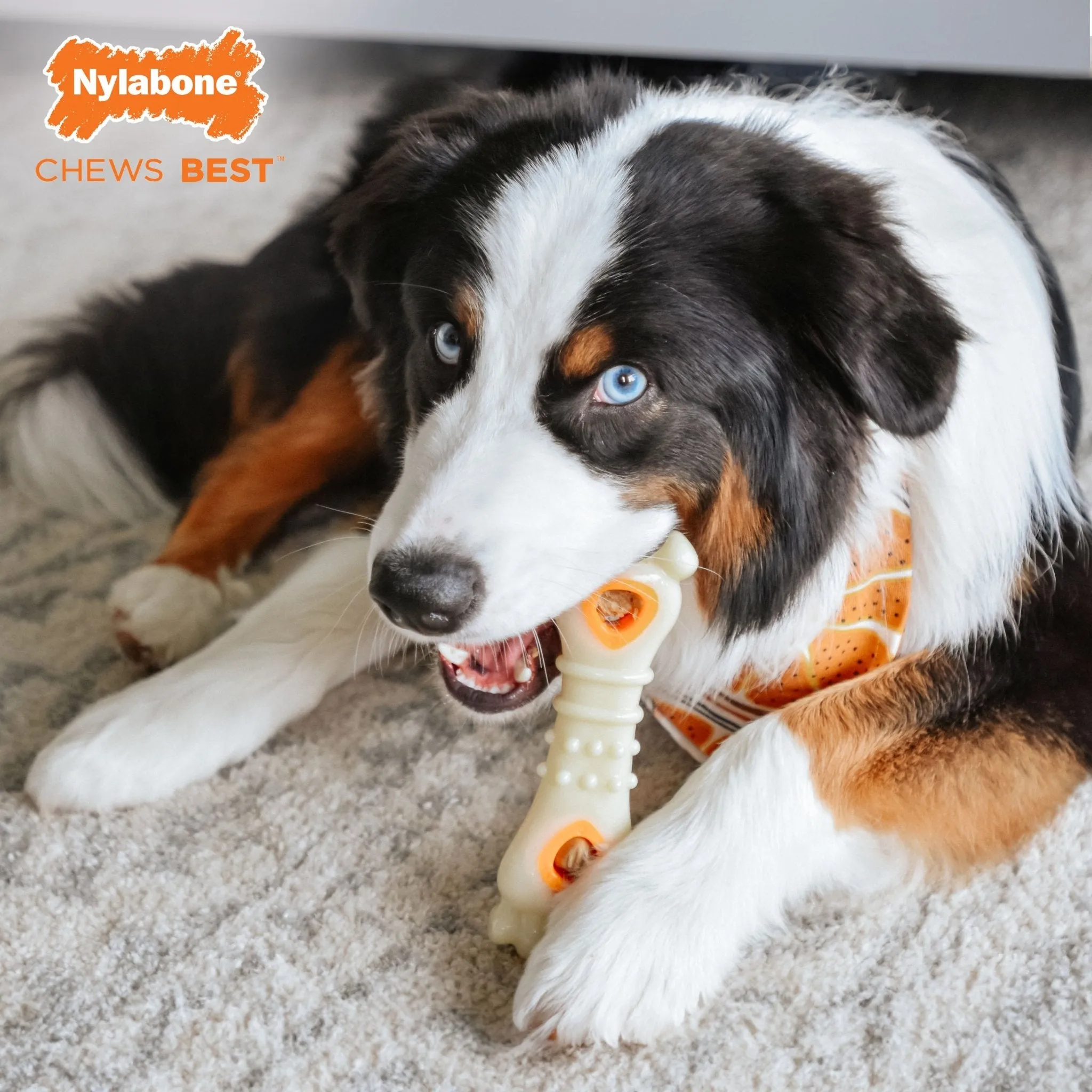 Power Chew Knuckle Bone & Pop-In Treat Toy Combo, Chicken, Large/Giant, Up to 50 lbs.