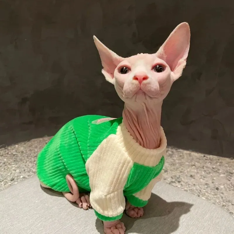 Pure Cotton Sweater for Sphynx & German Hairless Cats | Spring & Autumn Elastic Soft Apparel
