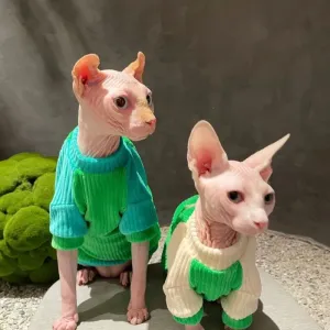 Pure Cotton Sweater for Sphynx & German Hairless Cats | Spring & Autumn Elastic Soft Apparel