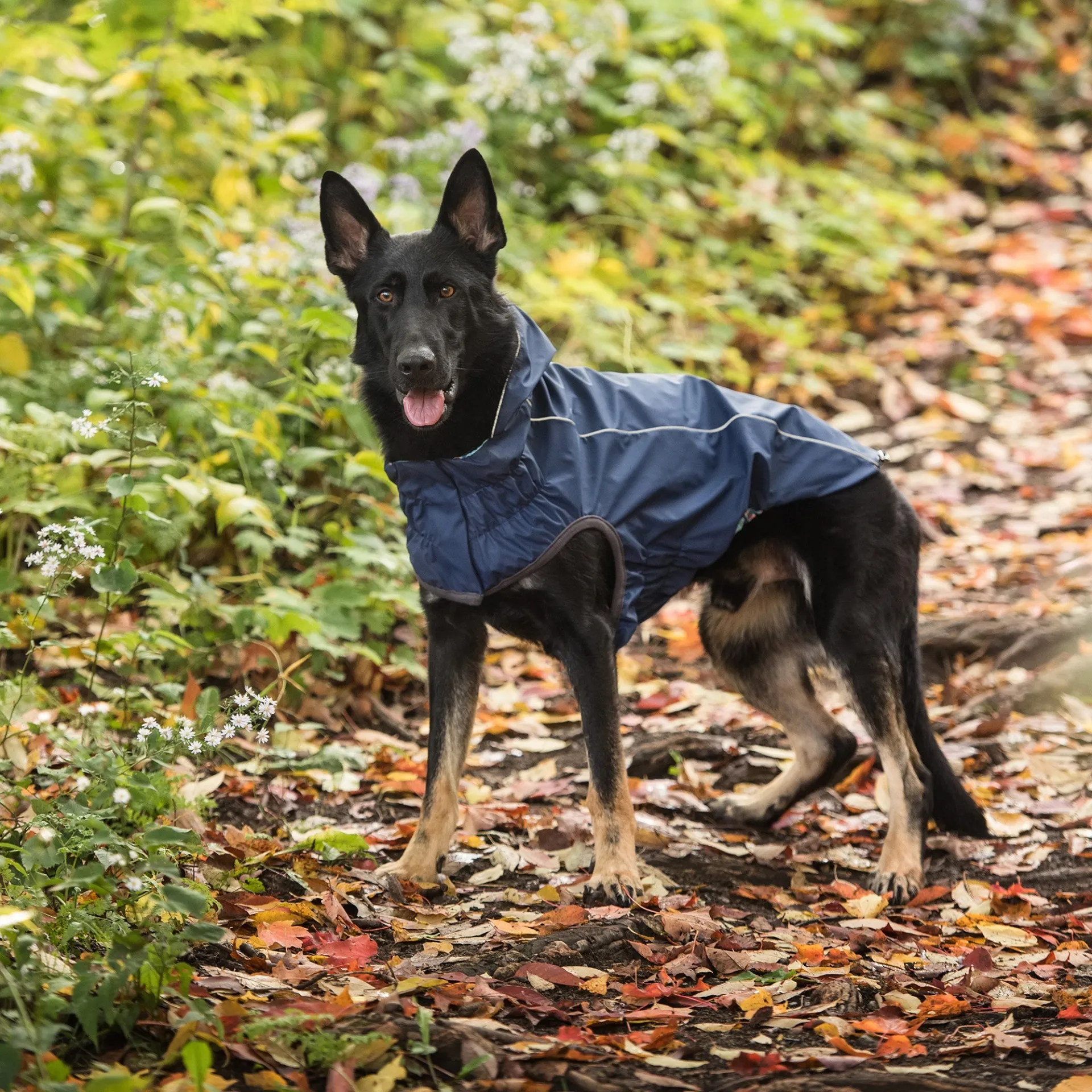 Reversible Elasto-Fit Raincoat (Navy)