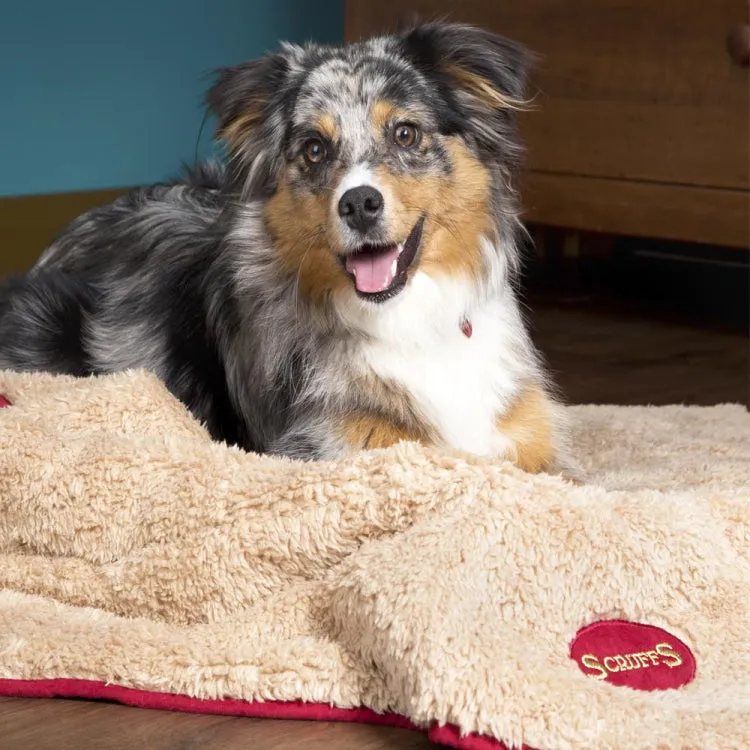 Scruffs Cosy Snuggle Dog Blanket - Burgundy