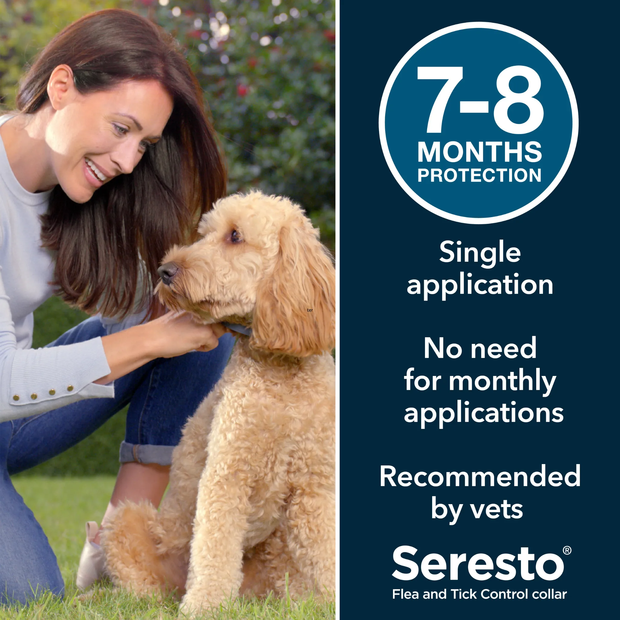 Seresto Flea & Tick Dog Collar