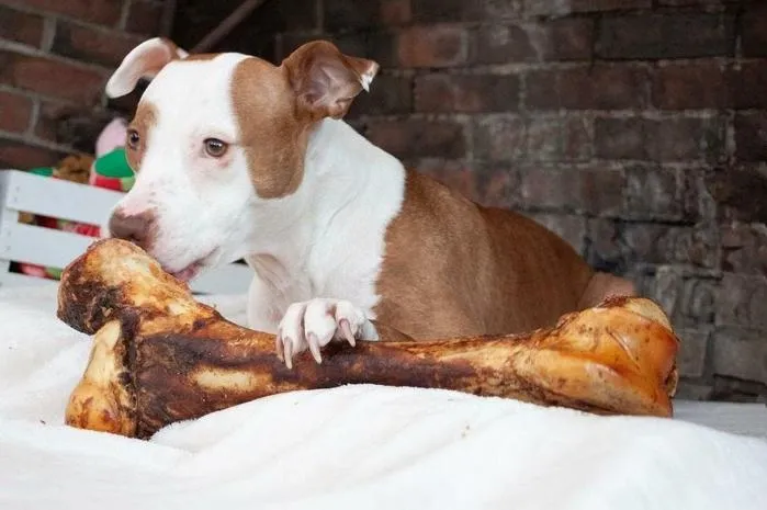 Smoked Mammoth Bone