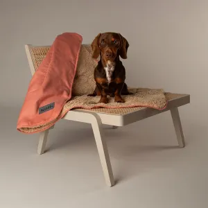 Snuggle Blanket - Terracotta