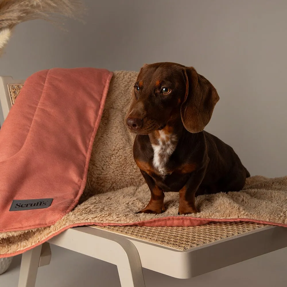 Snuggle Blanket - Terracotta