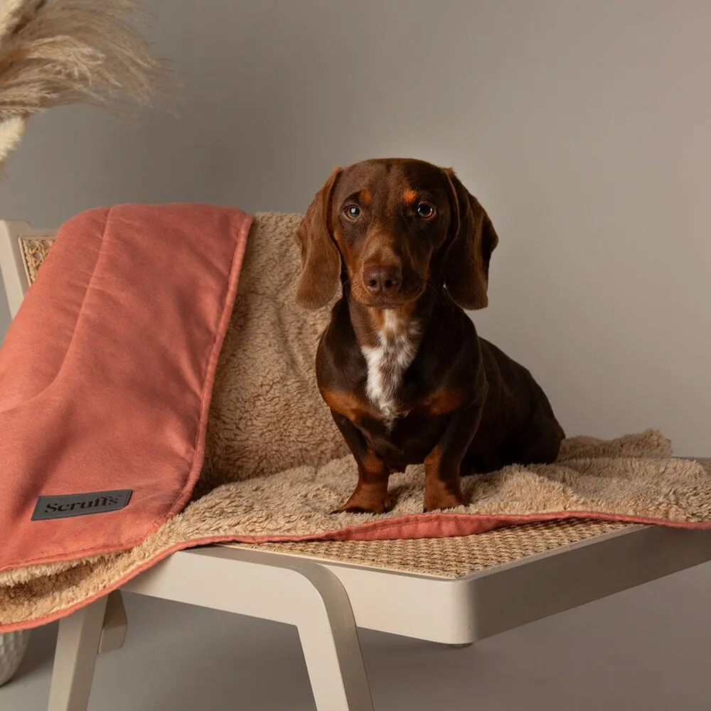 Snuggle Blanket - Terracotta