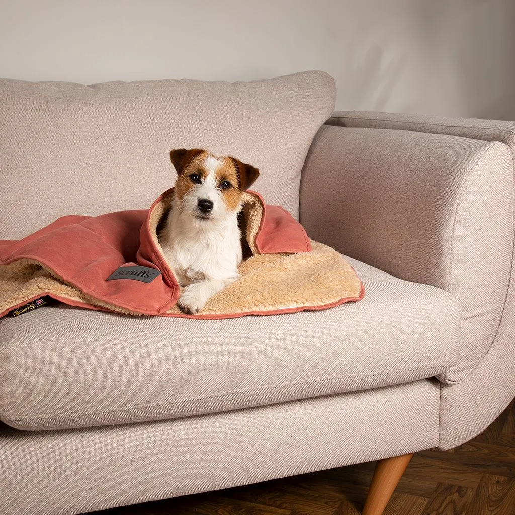 Snuggle Blanket - Terracotta