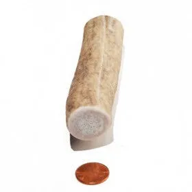 Soft Density Medium Whole Antler Chew