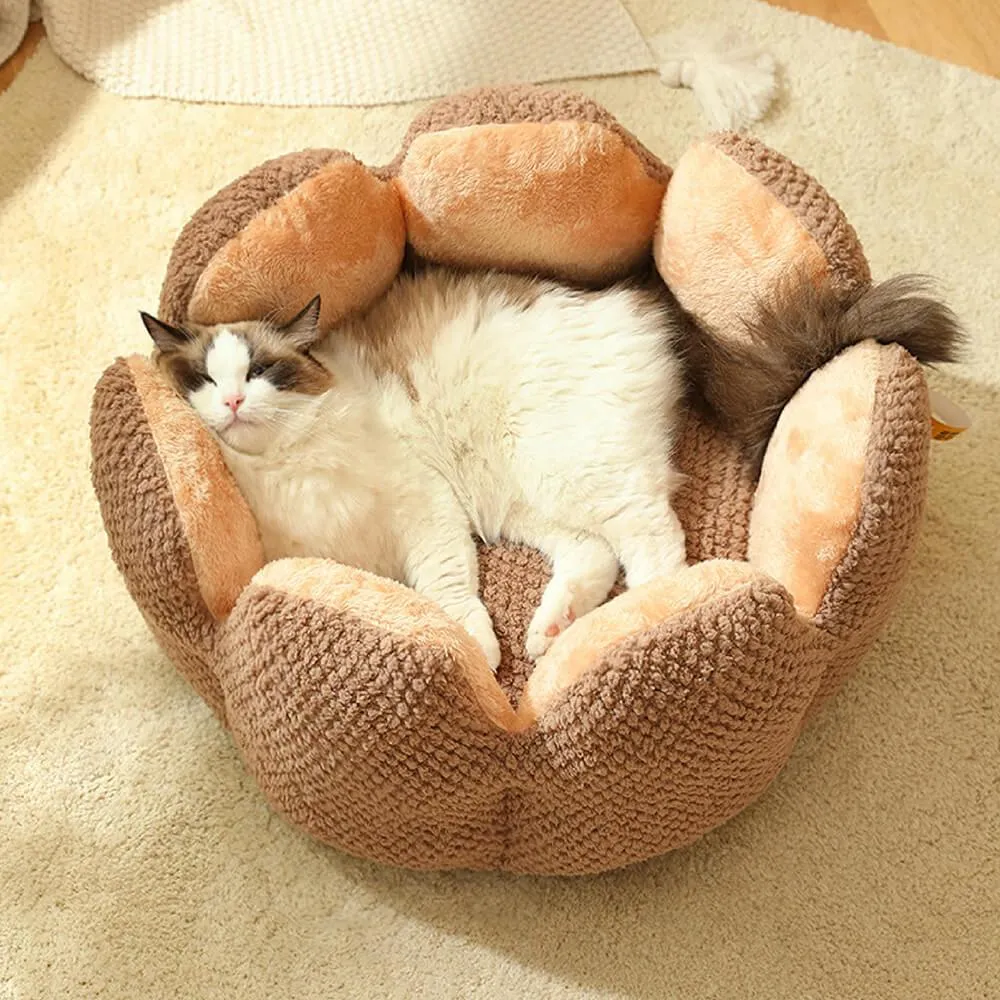Superidag Pet crib cactus - perfect combination