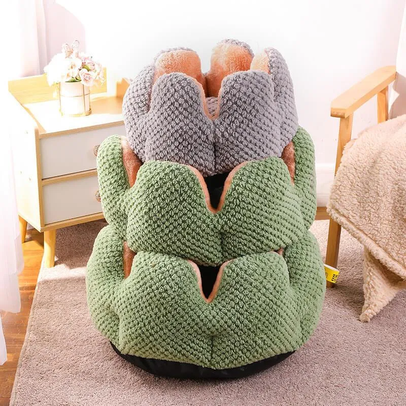 Superidag Pet crib cactus - perfect combination