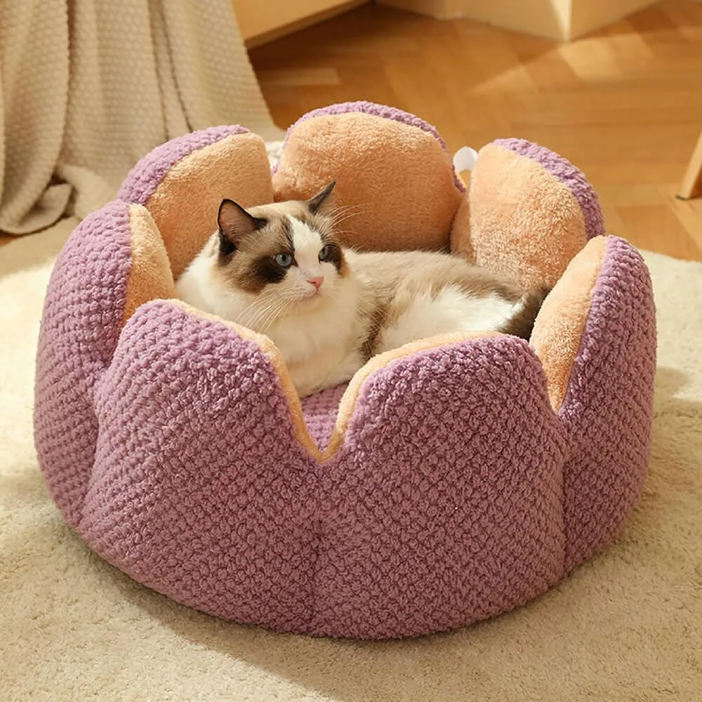 Superidag Pet crib cactus - perfect combination