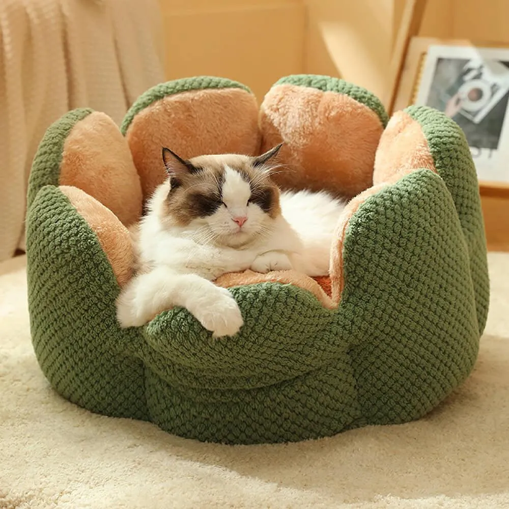 Superidag Pet crib cactus - perfect combination