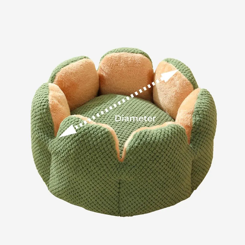 Superidag Pet crib cactus - perfect combination
