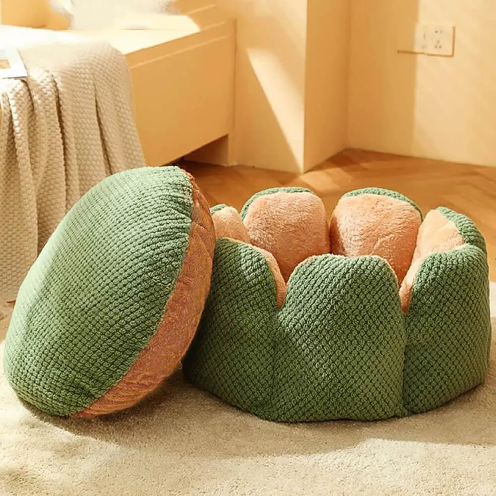 Superidag Pet crib cactus - perfect combination
