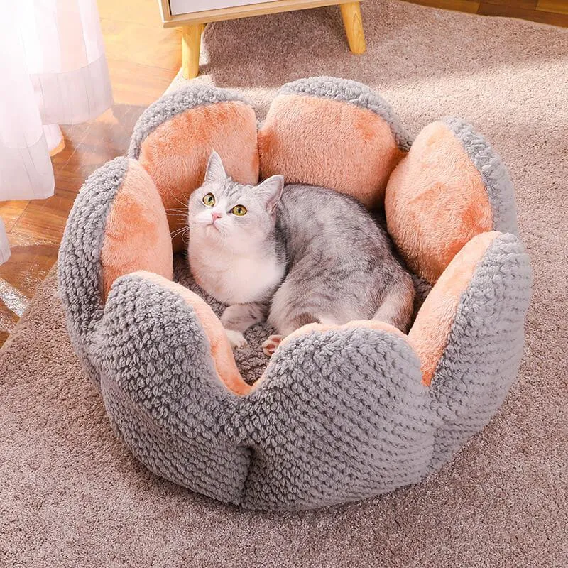 Superidag Pet crib cactus - perfect combination