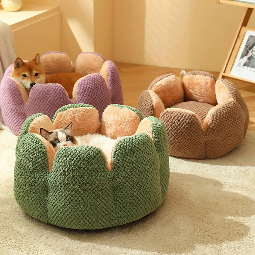 Superidag Pet crib cactus - perfect combination