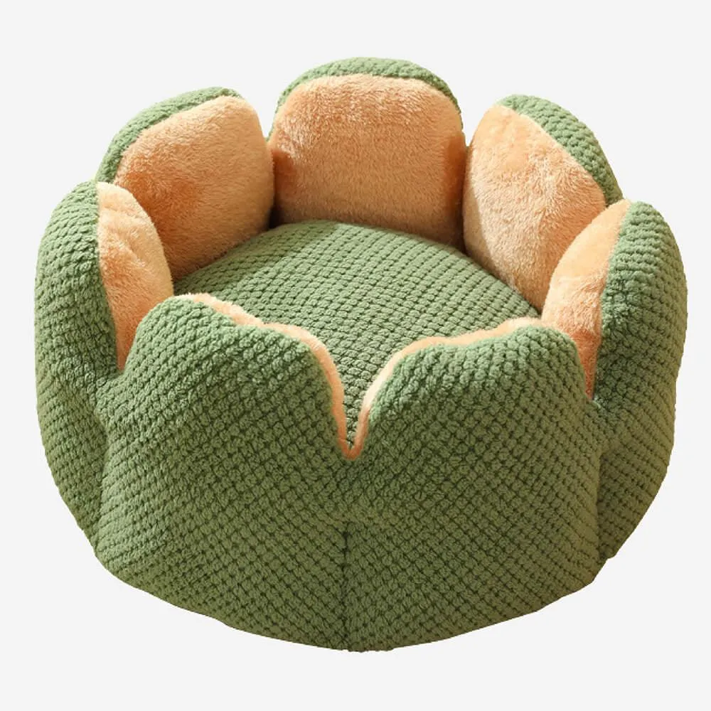 Superidag Pet crib cactus - perfect combination