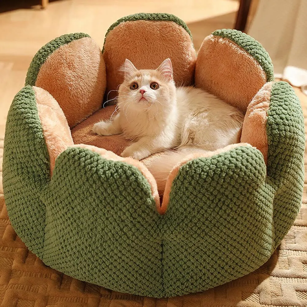 Superidag Pet crib cactus - perfect combination