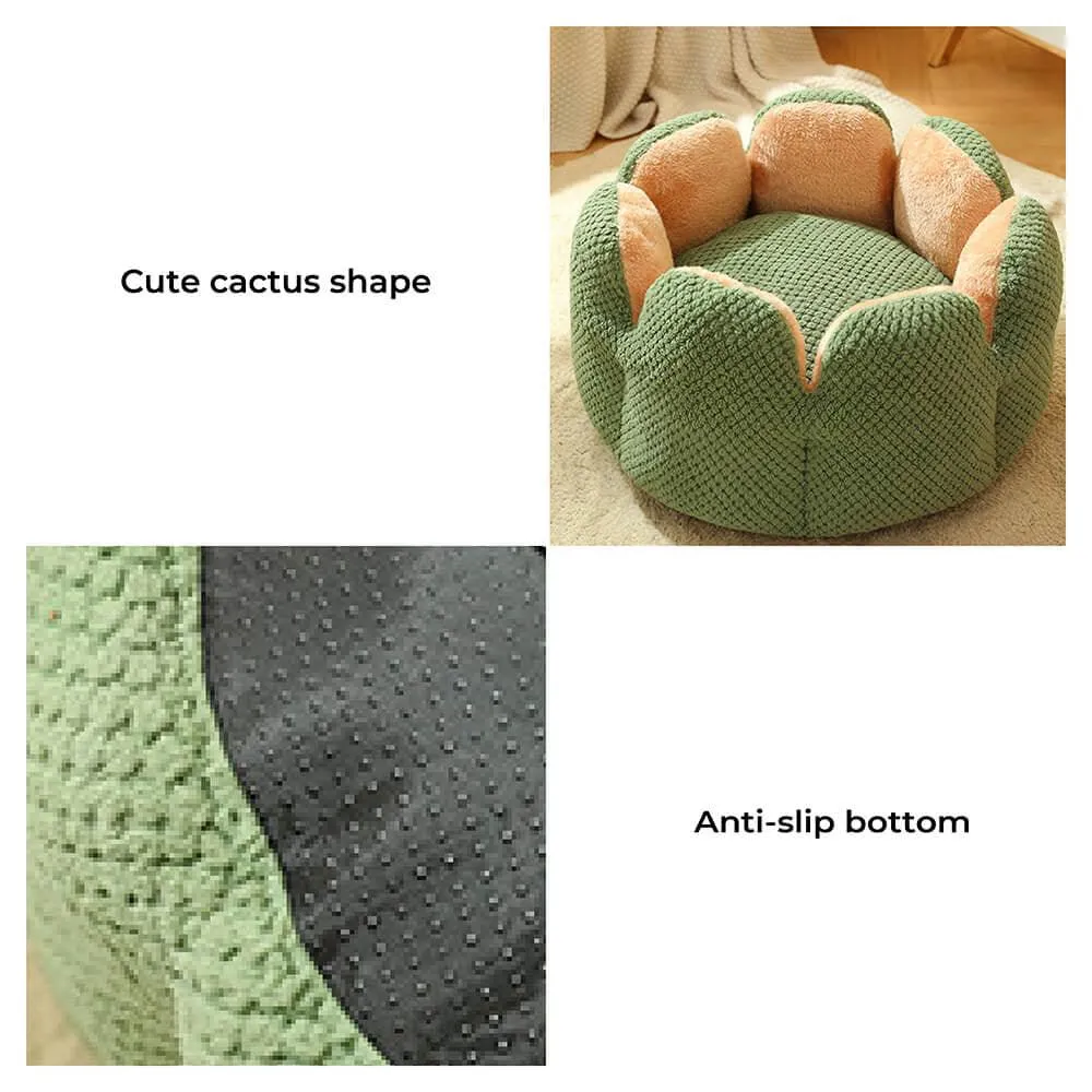 Superidag Pet crib cactus - perfect combination