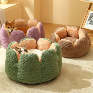 Superidag Pet crib cactus - perfect combination