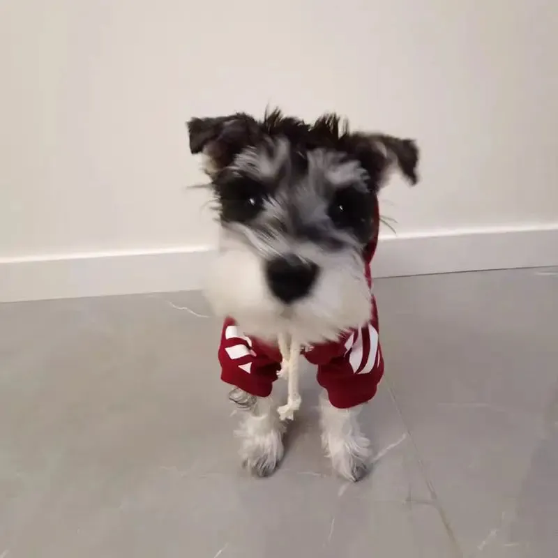 Trendy Red Cotton Sweater for Dogs and Cats - Stylish and Warm Pet Clothing - Dog and Cat Clothes Red Trendy Clothing Dog Thickened Cotton Sweater Sweatshirt Small Dog Pet Clothing