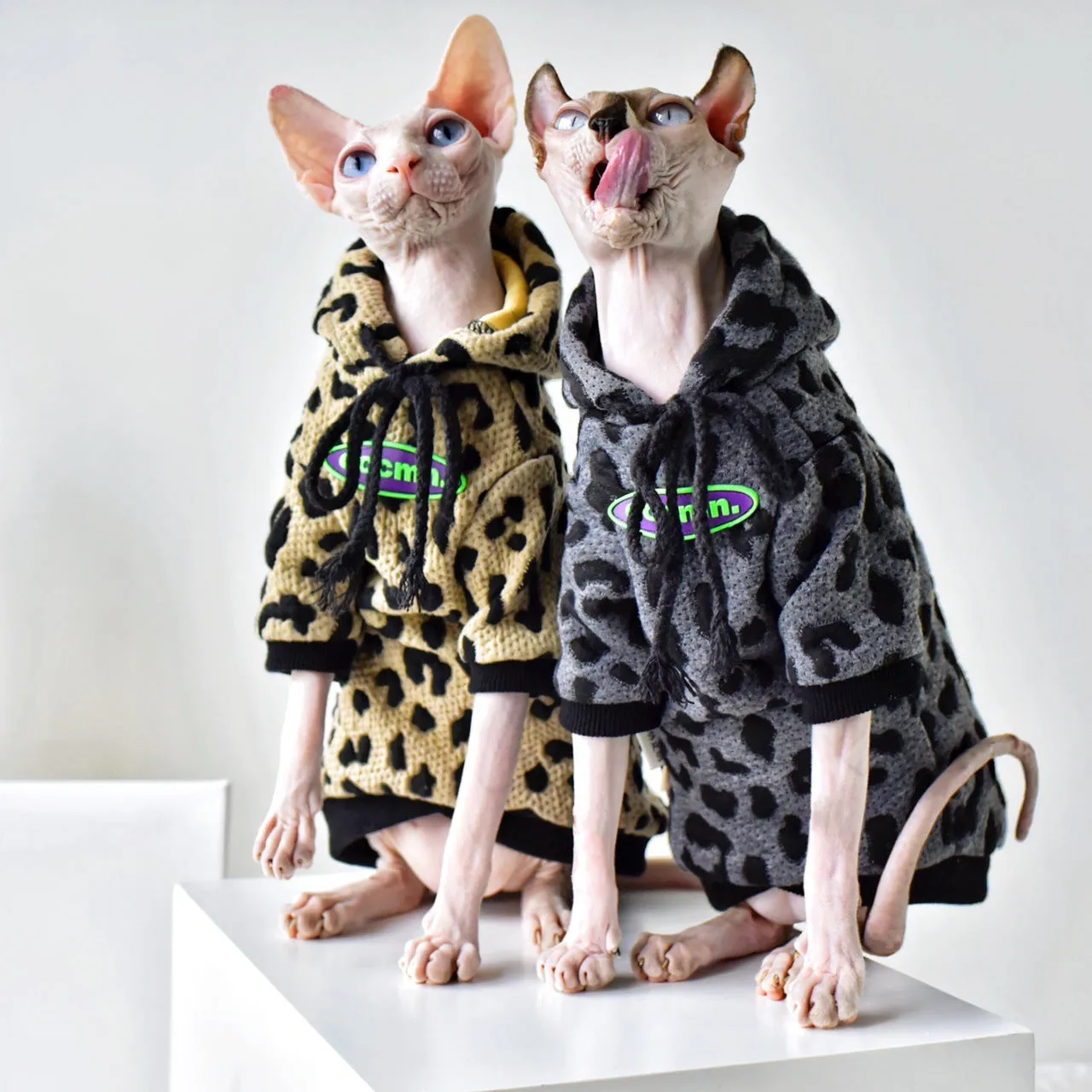 Vintage AM Pet Cat Clothes | Pure Cotton Camouflage Sweatshirt | Warm Sphynx Hairless Cat Clothes