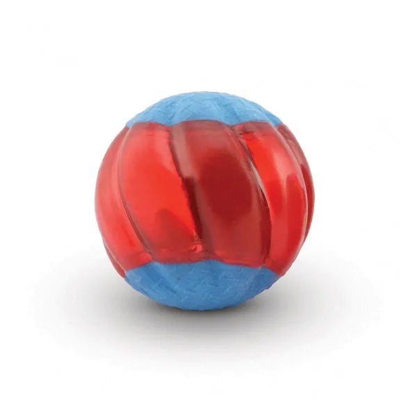 Zeus Duo Ball with Squeaker - 2 pack